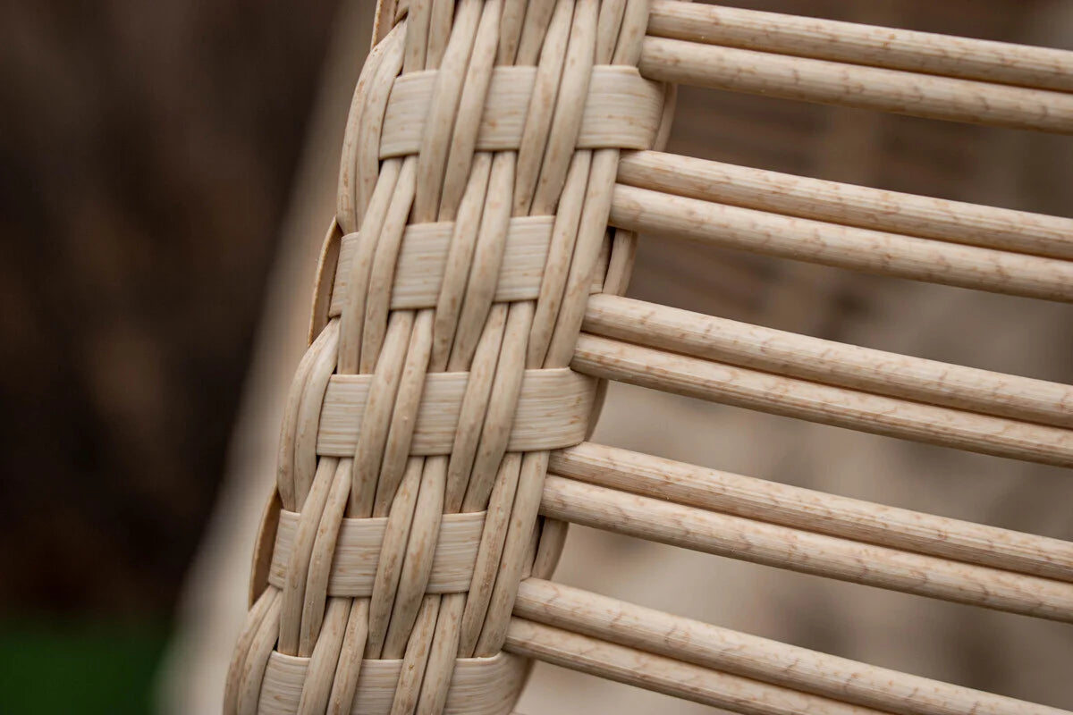 Кит Двохвильовий